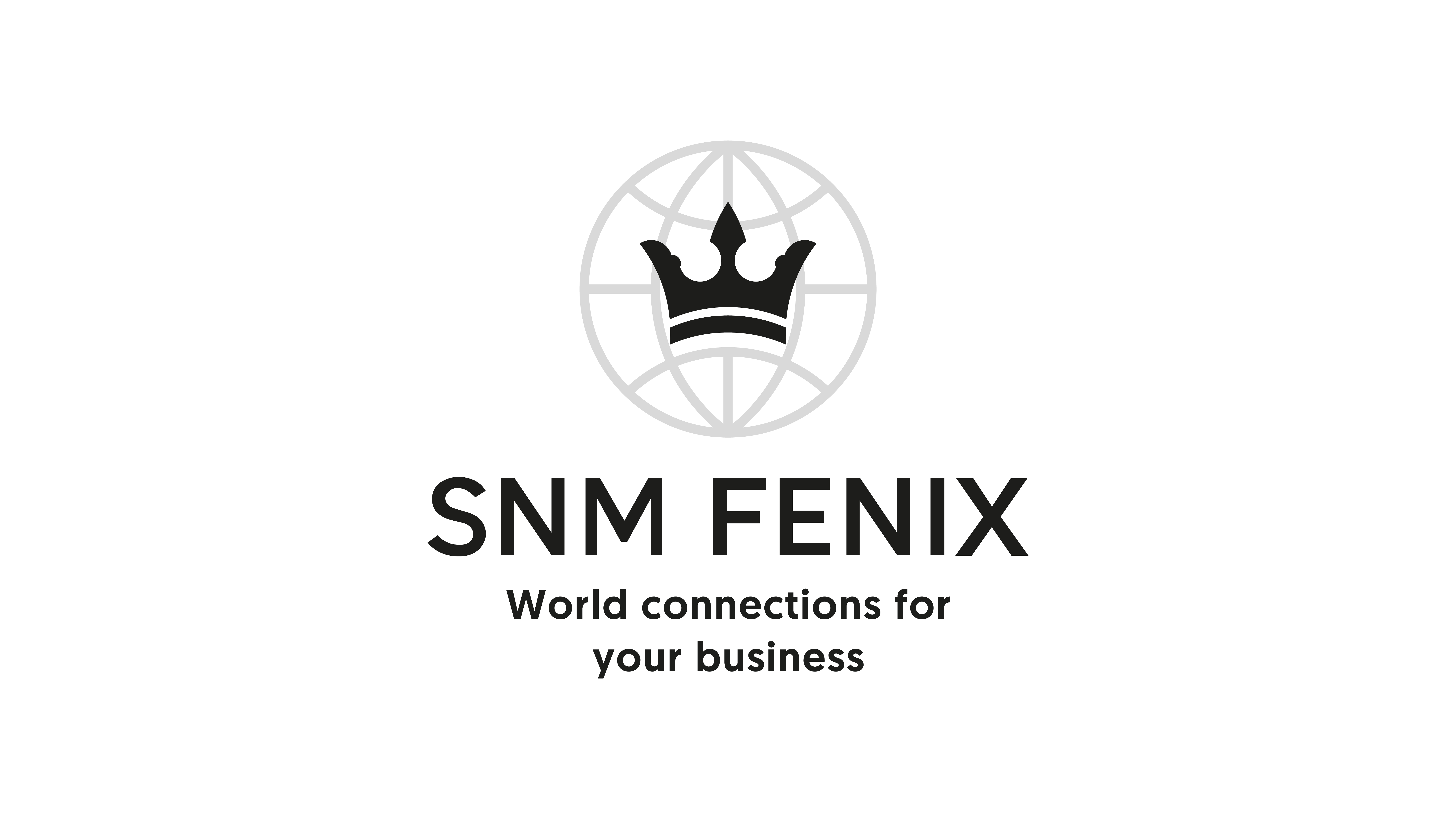 SnmFenix logo